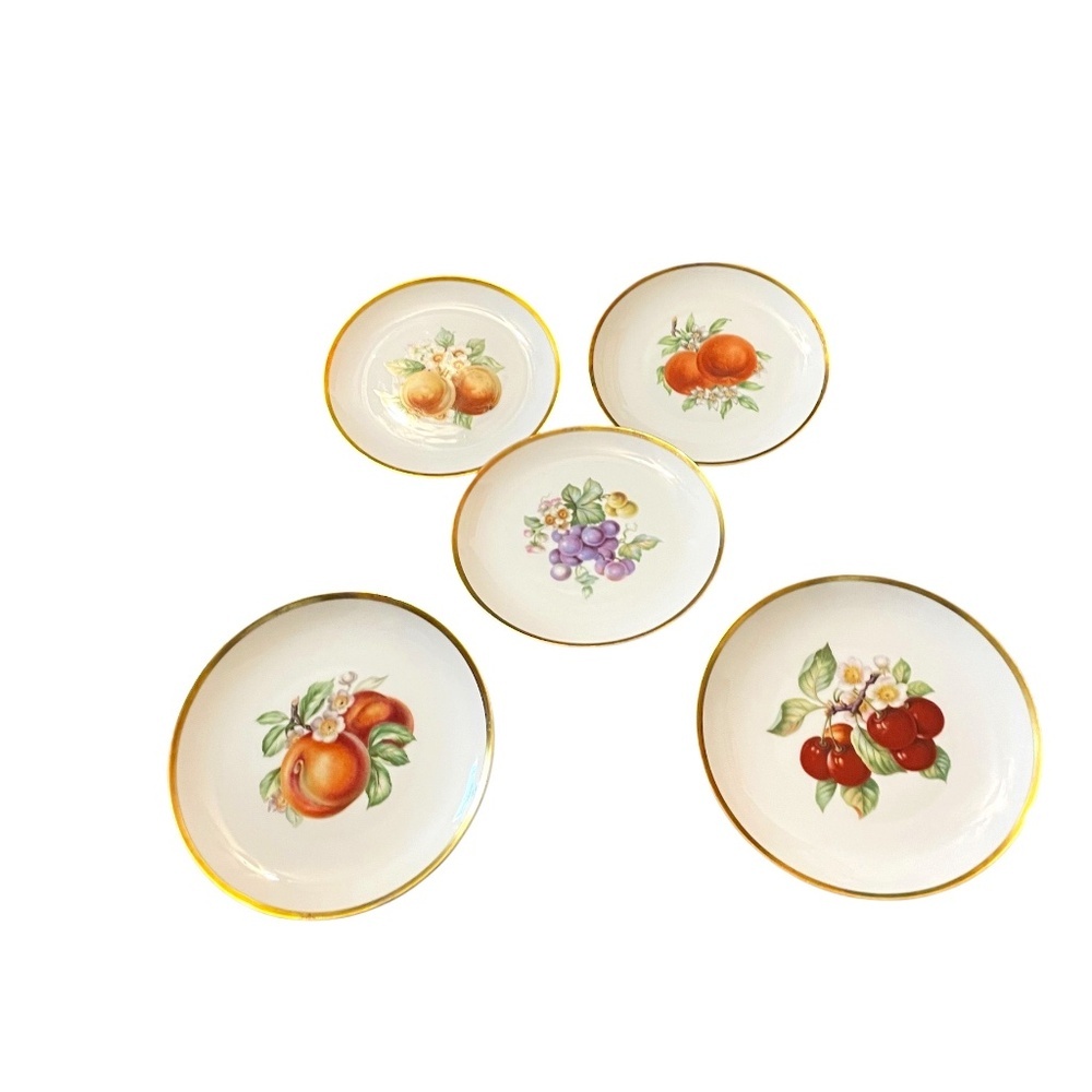 Set of‎ 5 Vintage Hutschenreuther Plate 8" Porcelain Fruit Cottage Plates